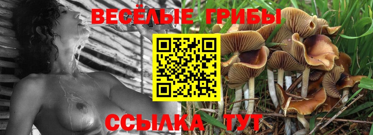 Галлюциногенные грибы Psilocybine cubensis  Вход с VPN  Валуйки  Псилоцибиновые грибы ЛСД 